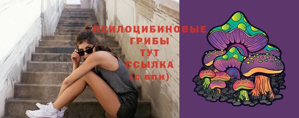 молекула духа Аркадак