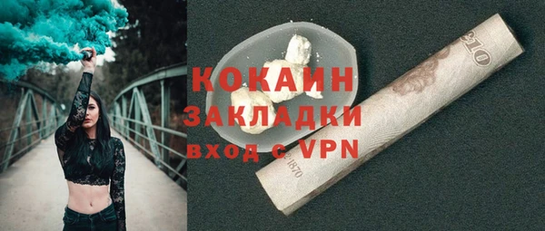 гидра Арсеньев
