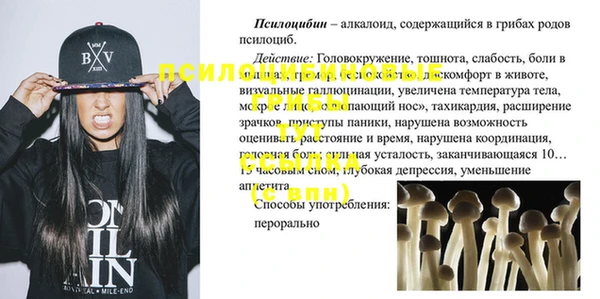 гидра Арсеньев