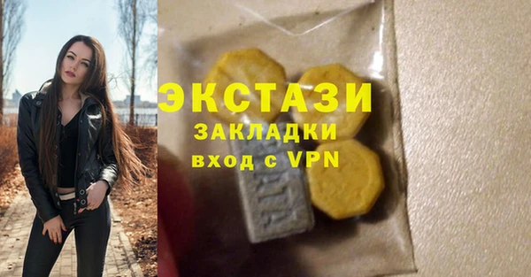 гидра Арсеньев