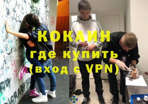 гидра Арсеньев
